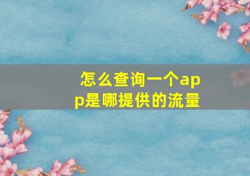 怎么查询一个app是哪提供的流量