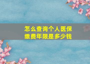 怎么查询个人医保缴费年限是多少钱