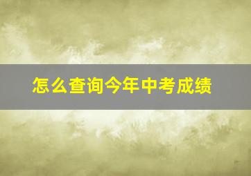 怎么查询今年中考成绩