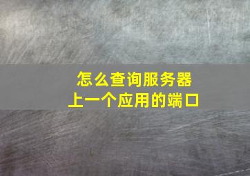 怎么查询服务器上一个应用的端口