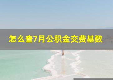 怎么查7月公积金交费基数