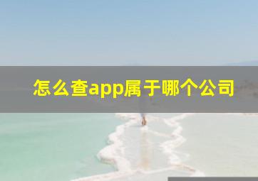 怎么查app属于哪个公司