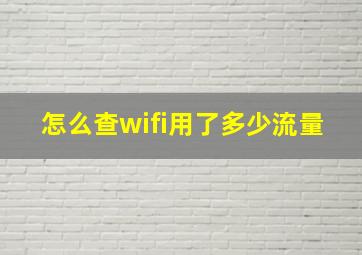 怎么查wifi用了多少流量