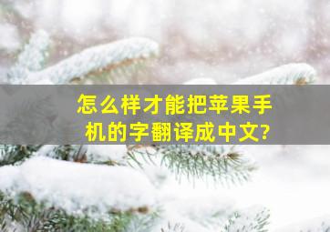 怎么样才能把苹果手机的字翻译成中文?