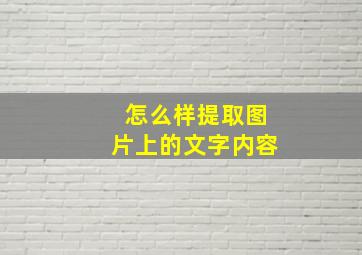 怎么样提取图片上的文字内容