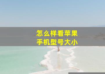 怎么样看苹果手机型号大小