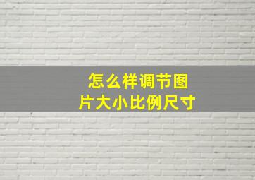 怎么样调节图片大小比例尺寸