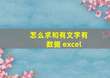 怎么求和有文字有数据 excel