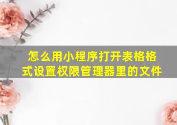 怎么用小程序打开表格格式设置权限管理器里的文件