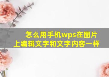 怎么用手机wps在图片上编辑文字和文字内容一样