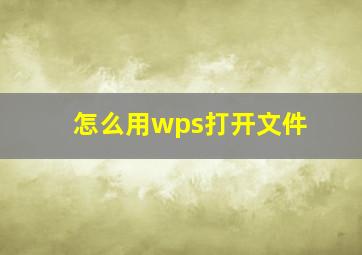 怎么用wps打开文件