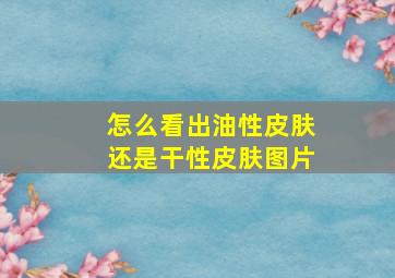 怎么看出油性皮肤还是干性皮肤图片