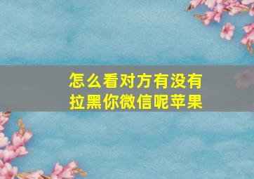 怎么看对方有没有拉黑你微信呢苹果