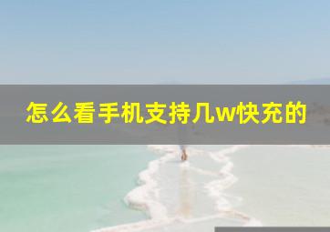 怎么看手机支持几w快充的