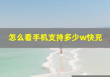 怎么看手机支持多少w快充