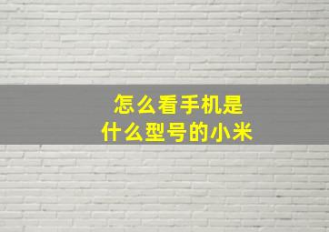 怎么看手机是什么型号的小米