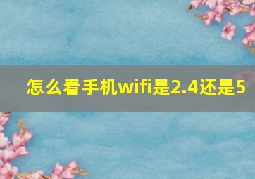 怎么看手机wifi是2.4还是5