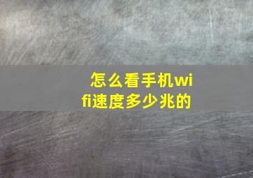 怎么看手机wifi速度多少兆的