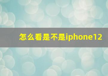 怎么看是不是iphone12