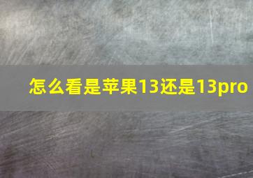 怎么看是苹果13还是13pro