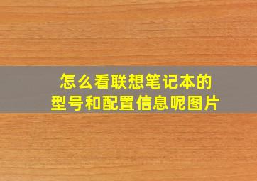 怎么看联想笔记本的型号和配置信息呢图片