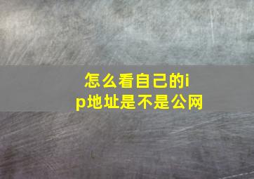 怎么看自己的ip地址是不是公网