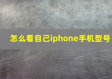 怎么看自己iphone手机型号