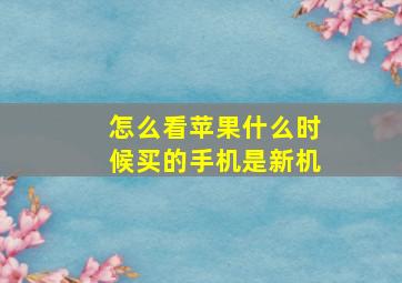 怎么看苹果什么时候买的手机是新机