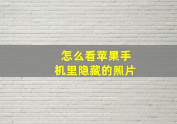 怎么看苹果手机里隐藏的照片