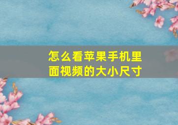 怎么看苹果手机里面视频的大小尺寸