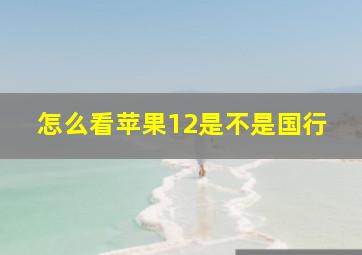 怎么看苹果12是不是国行