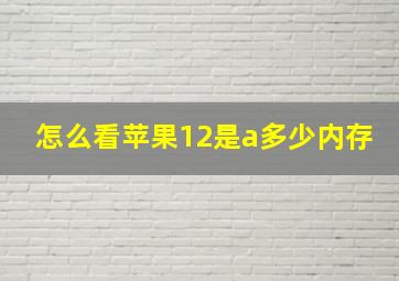 怎么看苹果12是a多少内存