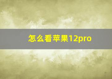 怎么看苹果12pro