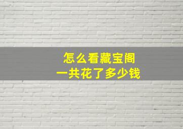 怎么看藏宝阁一共花了多少钱