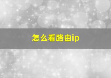 怎么看路由ip