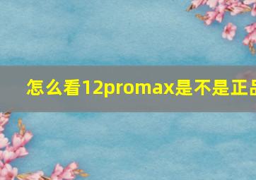 怎么看12promax是不是正品