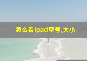 怎么看ipad型号,大小