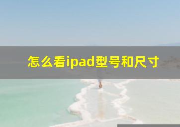 怎么看ipad型号和尺寸