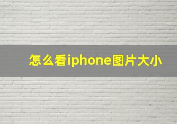 怎么看iphone图片大小