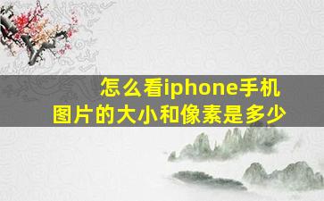 怎么看iphone手机图片的大小和像素是多少