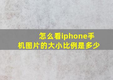 怎么看iphone手机图片的大小比例是多少