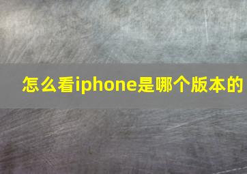 怎么看iphone是哪个版本的