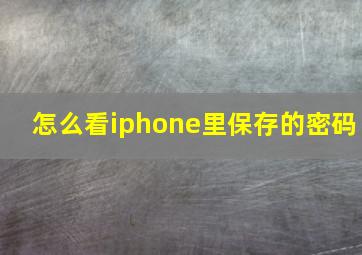 怎么看iphone里保存的密码