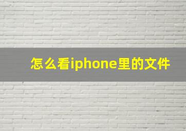 怎么看iphone里的文件