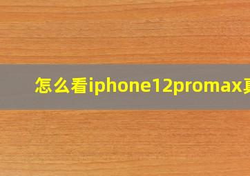 怎么看iphone12promax真假