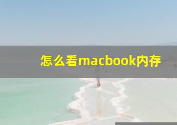 怎么看macbook内存