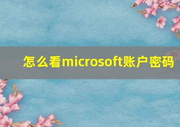 怎么看microsoft账户密码