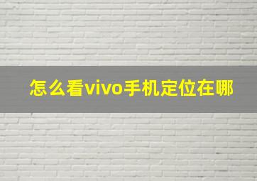 怎么看vivo手机定位在哪