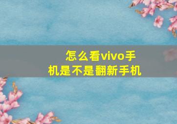 怎么看vivo手机是不是翻新手机