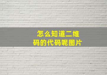 怎么知道二维码的代码呢图片